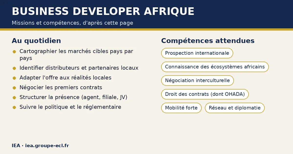 Schéma : Business developer Afrique — missions : Cartographier les marchés cibles pays par pays, Identifier distributeurs et partenaires locaux, Adapter l'offre aux réalités locales ; compétences : Prospection internationale, Connaissance des écosystèmes africains, Négociation interculturelle.